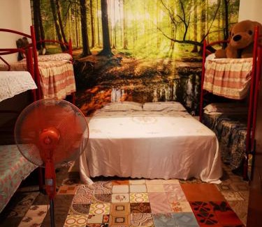 Oliena House | Pinnettu sardo casa di campagna in ecosistema ,Leggere attentamente Prima di prenotare,stanza matrimoniale e stanza condivisa senza finestra