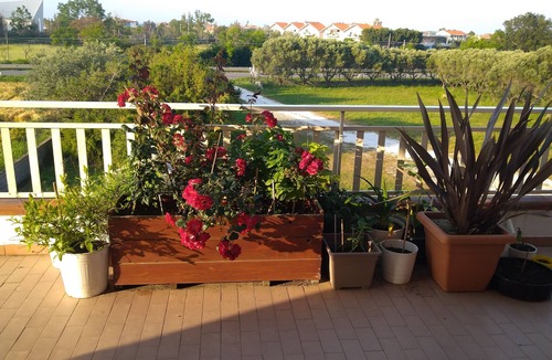 Montenero di Bisaccia Villa | Room with 4 bunk beds for rent, with a private en suite bathroom