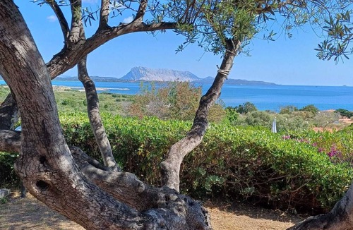 San Teodoro City Centre Villa | Sea Views & Serenity in San Teodoro - Near the Beaches & Downtown