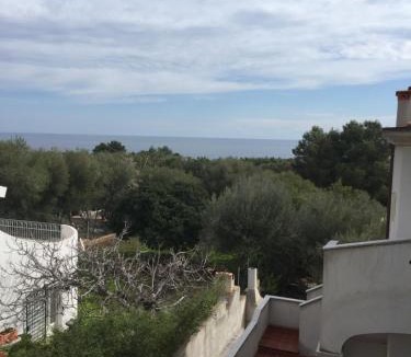 Cala Gonone Apartment | Sigma