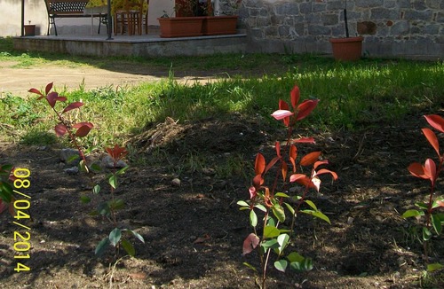 Bari Sardo House | Spacious Detached House in BariSardo, a Short Distance from the Beaches.