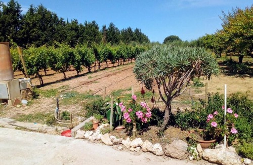 Olmedo Apartment | The Roses - An oasis of peace surrounded by greenery