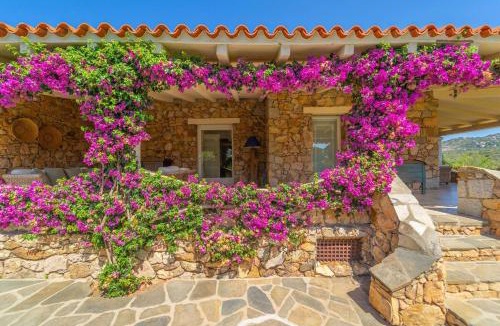Porto Rotondo Villa | Villa Alfa - By Searly
