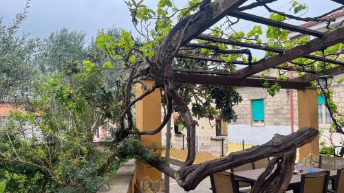 Santa Caterina Villa | Villa Caterina- Oasis of tranquillity