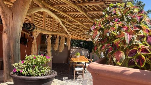 Baja Sardinia Villa | Villa JASMINE SMERALDA