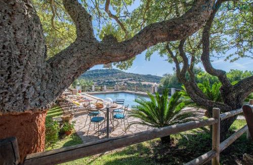 Putifigari Villa | Villa Olive tree, immersa nella natura per relax e quiete