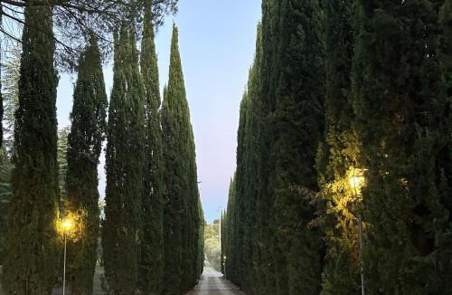 Montespertoli House | Villa Panconesi