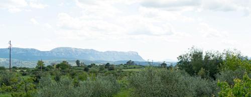 Lode Apartment | Villa Rosa