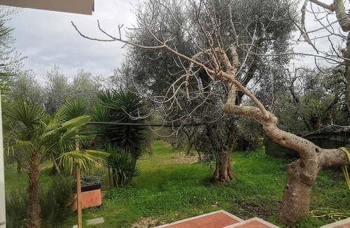 Montincello Villa | Villa Soleil, relaxation in nature a few meters from the sea, 62 sqm apartment