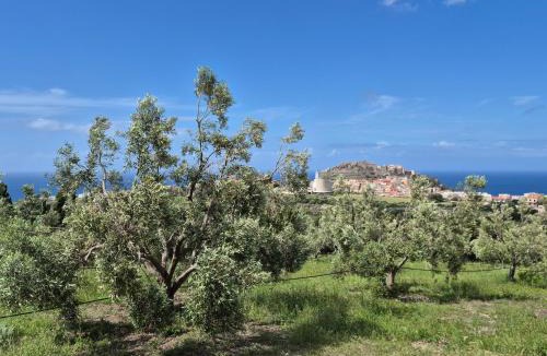 Castelsardo House | Villetta Olivia Casa in collina vista mare
