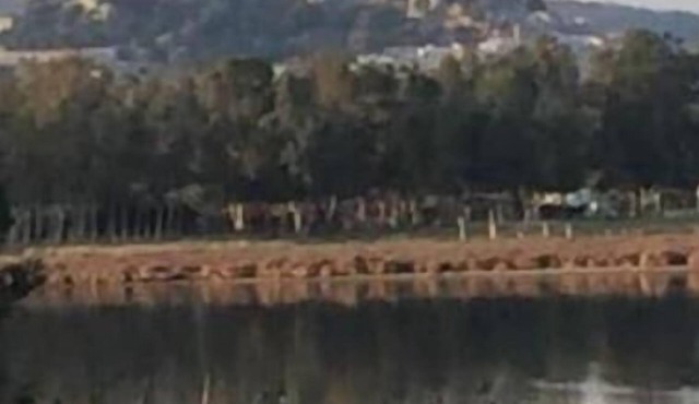 100 m.from the beach townhouses Posada 1