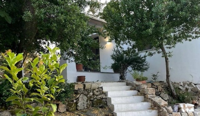 A house in Gallura, surrounded by nature convenient to the main beaches.
