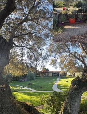 Agriturismo nuraghe Putzu Canu