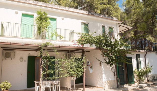 Amazing apartment in Vieste