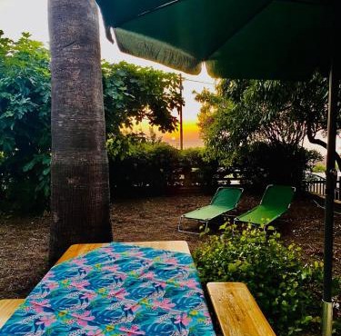 Apartment in Villa under Grand Palm Tree & Garden