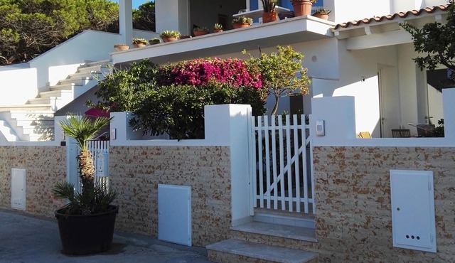 Beachfront apartment in a quiet area adjacent to the pine forest
