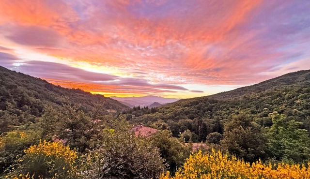 Bio Agriturismo Il Vigno - Adults Only - Farm To Table Food - Pool Sauna Nature - Wild Tuscan countryside - Your Place to Breathe