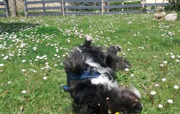 Casale Dei Cento Acri in Florence