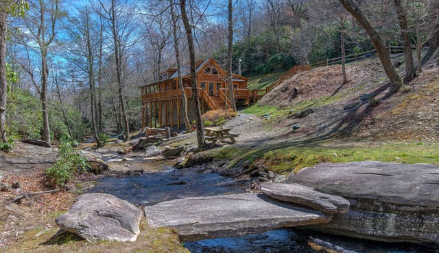 CREEKSIDE LOG HOME: NEXT TO CREEK/CLOSE TO TOWN/HOT TUB/TRAILS/PETS OK in Black Mountain