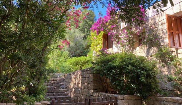 Domus Olivarum -Costa Smeralda villetta 7 persone, 4 PK, WIFI, grande giardino