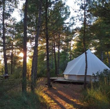 Forest Days in Navés