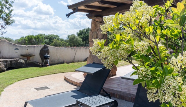 Holiday Home 'La Vela' with Sea View, Wi-Fi and Air Conditioning