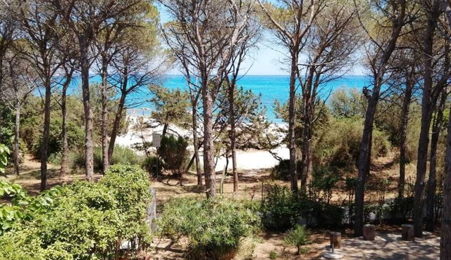 PINE CONE DIRECT ACCESS TO THE BEACH (NO WIFI) CIN IT091063C2000S5156