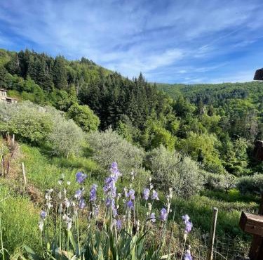 La casina romantica nel borgo, privacy e relax in San Clemente in Valle