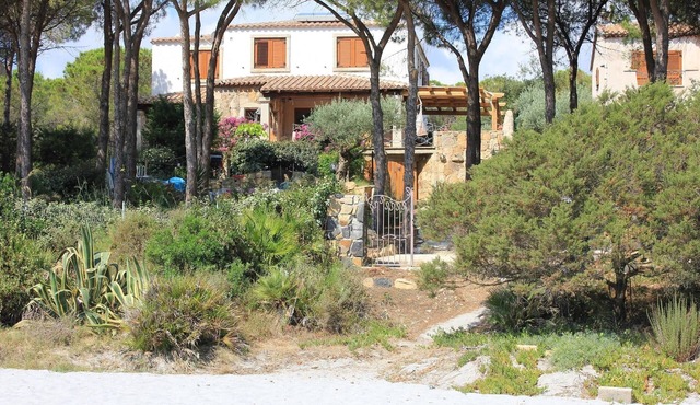La Corte degli Ulivi Casa sul mare with direct access to the beach