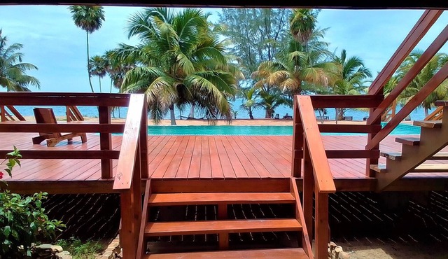 Matty's Beachfront Downstairs Apartment - AC, Swimming Pool Access … in Gales Point