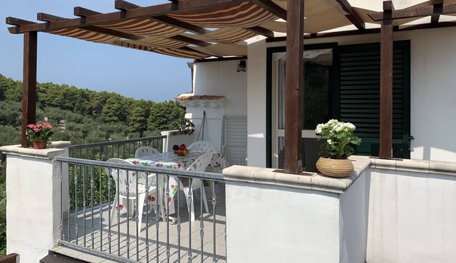 Mulberry Tree House GELSO