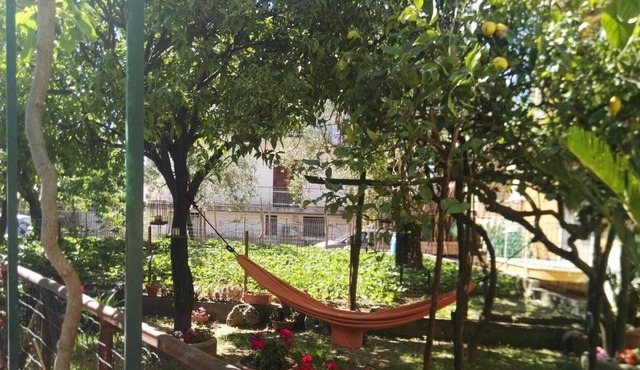 Nice apartment located 250 meters from the center, a few steps from services and