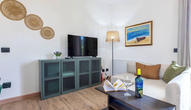 Nice apartment for 4 people with A/C, WIFI, TV, balcony and pets allowed