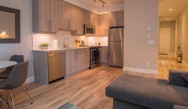Old Town Open-Plan with High Ceilings and Original Artwork in Victoria