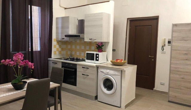 One Bedroom Apartment
