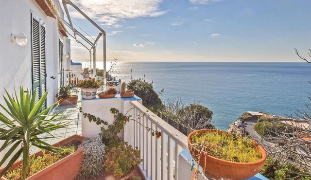 Pet friendly apartment in Sant´Angelo d´Ischia in Sant´Angelo d´Ischia