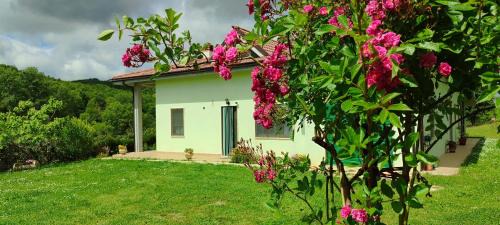 Pia's house garden