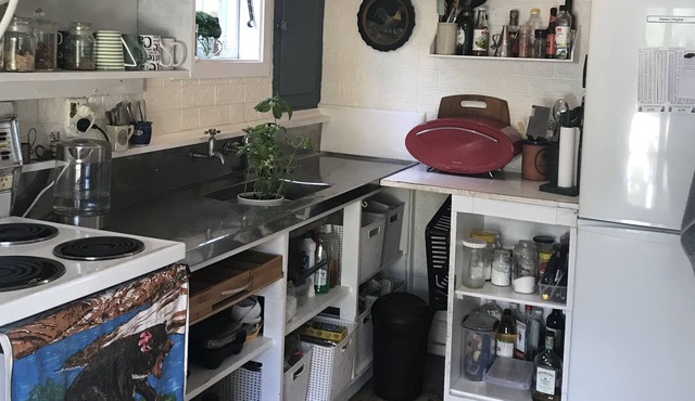 PIHA - Bach, Cottage or Tiny House - any of these apply to my place. in Piha