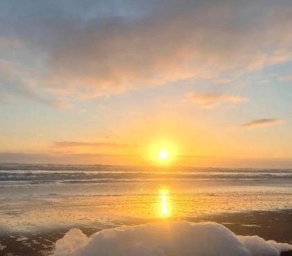 Seaside cozy cottage, 300m walk across the reserve to the beach in Whanganui