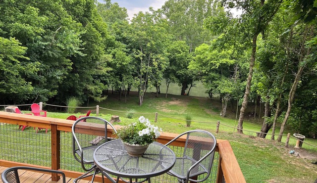 Shenandoah Riverfront Retreat! Fun for the whole family! in Luray