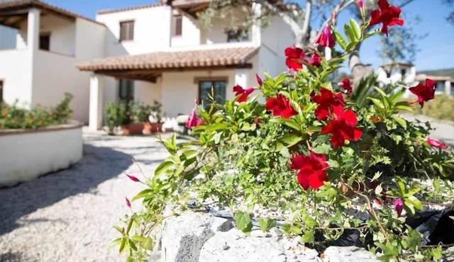 Three-room apartment 7 Torre di Barì, raised with covered veranda and independent access
