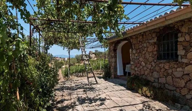 Tiscali-goroppu vacation home.