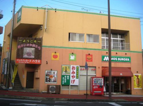Yukaina Nakamatachi in Yakushima