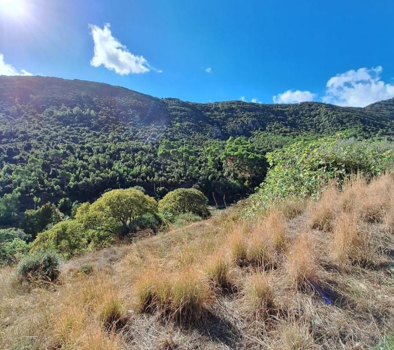 Villacidro House | CASA ATZENI - your relaxation surrounded by nature