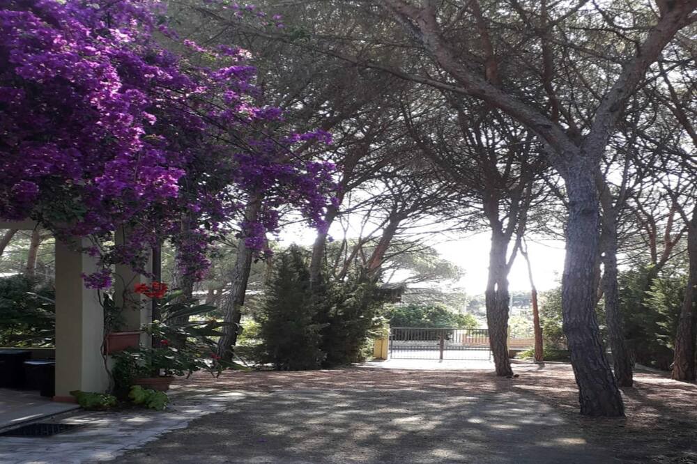 Photo of Outdoor in San Giovanni
