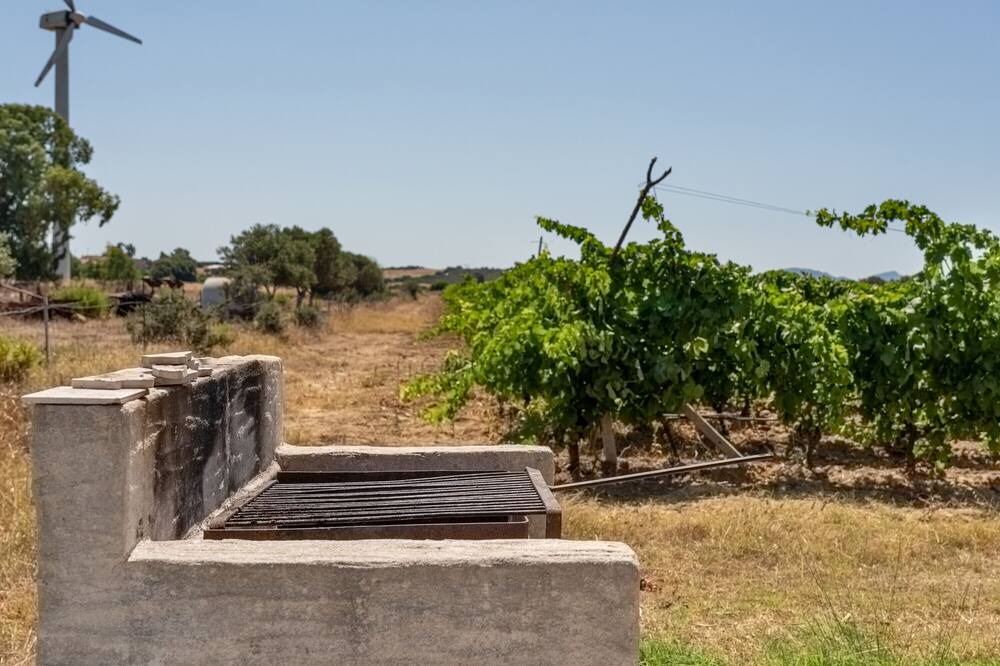 Photo of Outdoor in Sant'Anna Arresi