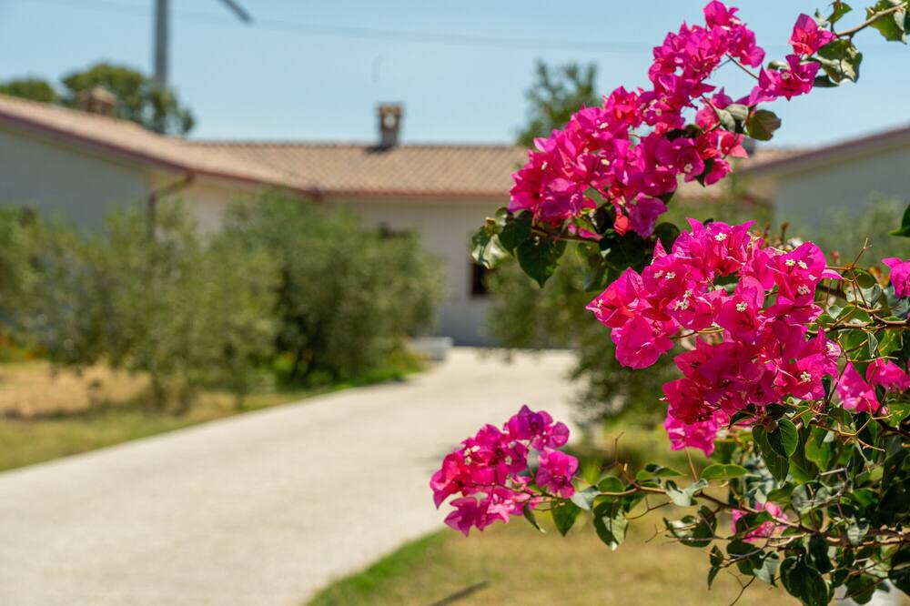 Photo of Outdoor in Sant'Anna Arresi