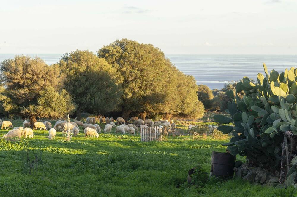 Photo of Outdoor in Galtelli