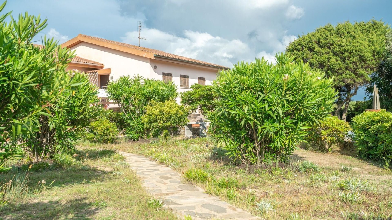 Photo of Outdoor in Palmadula