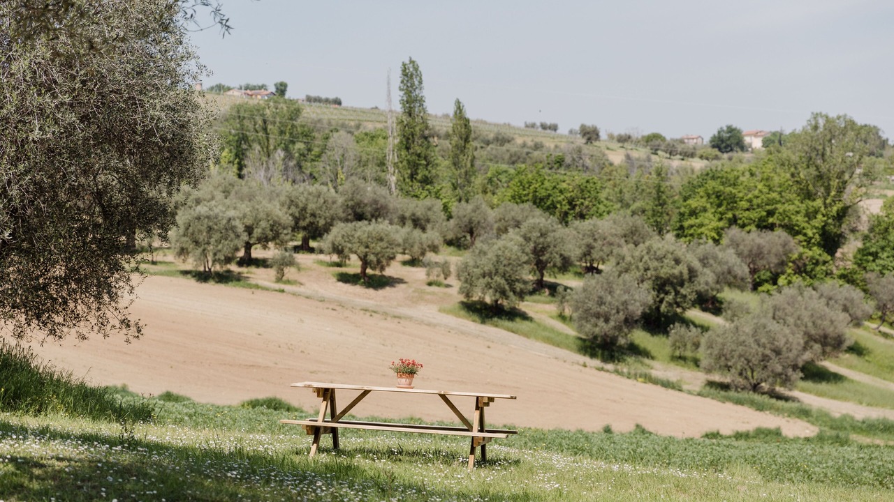 Photo of Outdoor in Monte Roberto